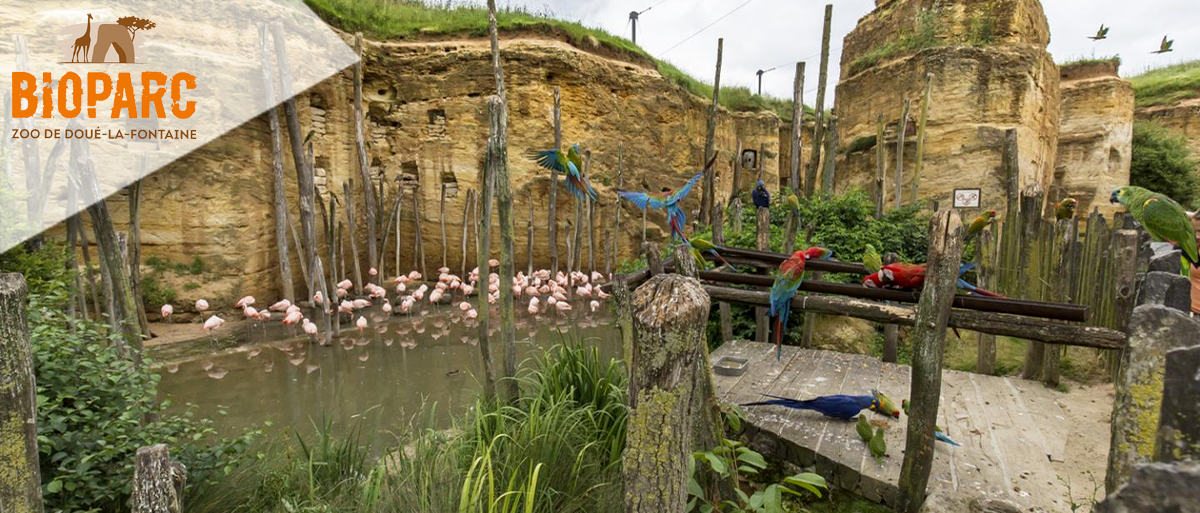 Zoo de Doue la fontaine